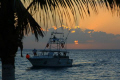   Paradise Divers Cozumel Departing Night dive  